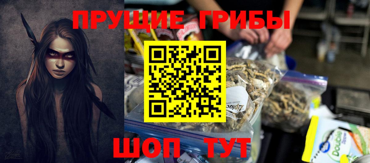 Псилоцибиновые грибы Psilocybe  Галлюциногенные грибы мицелий  Вход с VPN  Тельмана 