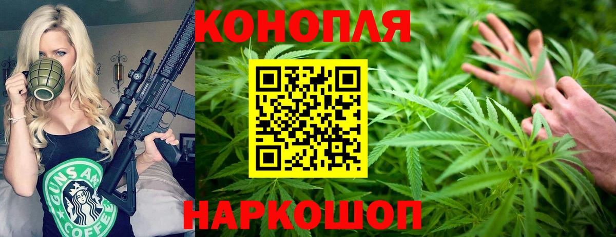 Каннабис план Тельмана